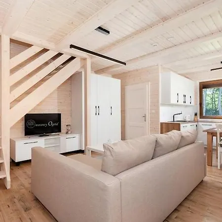 Comfortable No 14 , Summer Pool